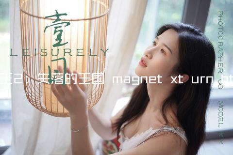 海王2：失落的王国 magnet xt urn btih